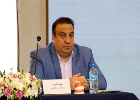 هشدار انجمن سنگ‌آهن درباره حذف بخش خصوصی از سیاست‌گذاری