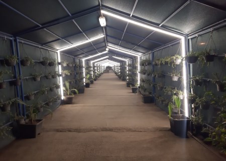 زیباسازی هوشمند مسیر کارکنان در فولاد هرمزگان