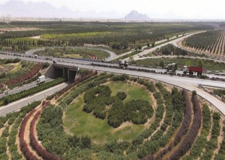 عبور فولاد مبارکه از مرز یک میلیارد دلار صادرات؛ بازیگر اصلی فولاد منطقه