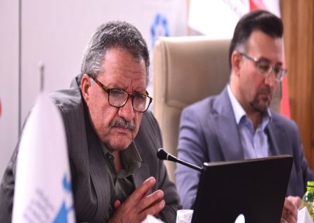 صمدی: تفاوت چشمگیر قیمت داخلی و وارداتی مانع توسعه ایمنی و تولید است